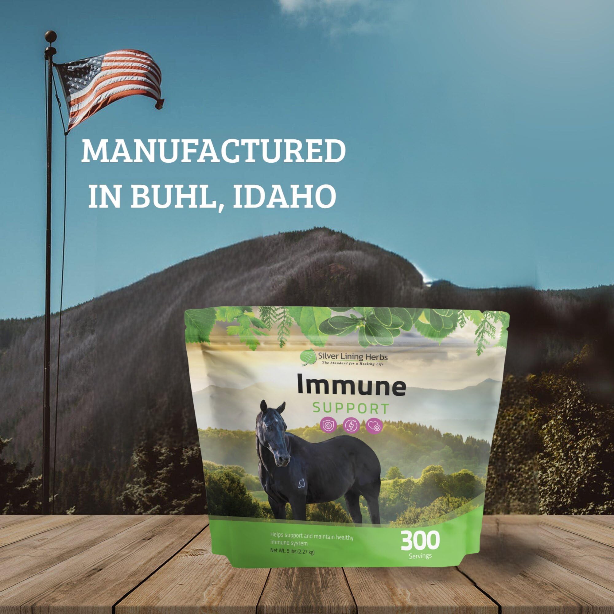 Silver Lining Herbs Equine Immune Support - Natural Herbal Aid to Boost Horse Immune System, Stamina, & Endurance - Health Suppo